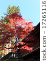 日光的秋天 17265116