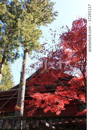 日光的秋天 17265117