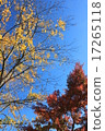秋天的天空 17265118