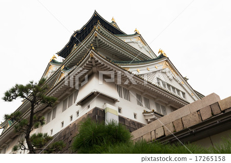 Osaka Castle  17265158