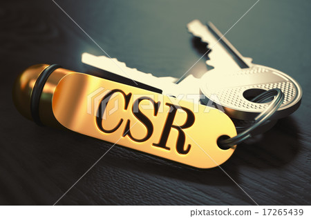 CSR - Bunch of Keys with Text on Golden Keychain. 17265439
