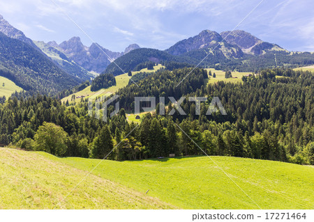View on the Alps, Switzerland 17271464