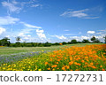 Sky and earth 17272731