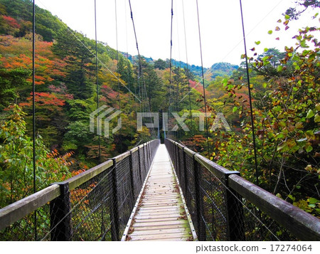 Retrospective suspension bridge 17274064