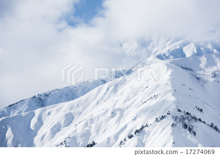 白雪皚皚的馬 17274069
