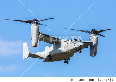 Osprey's flight scene 17274315