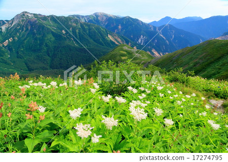 The view of Mt. Onishimoto and the observation of Wakabedake / Noguchigoro dune The view of Mt. Onishimoto and the observation of Wakabedake / Noguchigoro dune 17274795