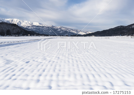 白雪皚皚的馬 白雪皚皚的馬 17275153