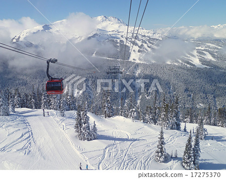 Whistler Blackcomb Ski Area Whistler Blackcomb Ski Area 17275370