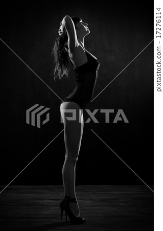 Portrait of young girl in lingerie Portrait of young girl in lingerie 17276114