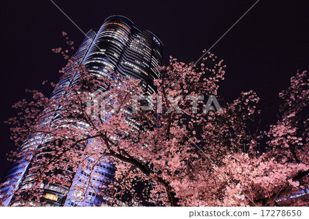 Roppongi Hills Mori Garden in spring Roppongi Hills Mori Garden in spring 17278650
