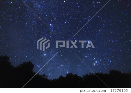 Winter starry sky Winter starry sky 17279105