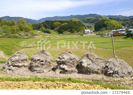 奈良縣Asuka no Sato / Asuka村的飛鳥 17279468