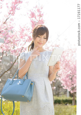 Young lady · cherry tree Young lady · cherry tree 17281177