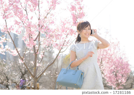 Young lady · cherry tree Young lady · cherry tree 17281186