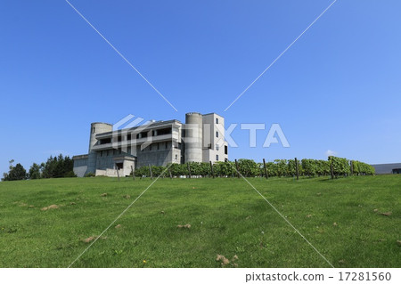 Ikeda wine castle and vineyards (a bit distant view) 17281560