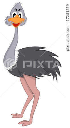 Funny Cartoon Ostrich Funny Cartoon Ostrich 17281839