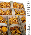 Basket of mushrooms 17281984