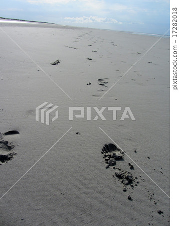 Footprints of a  couple in the sand of the North Sea beach. 17282018