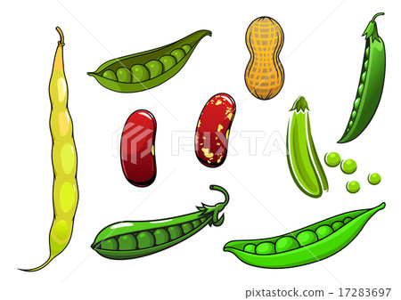 Cartoon fresh legumes and vegetables 17283697