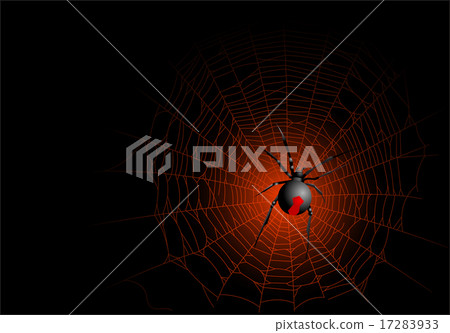 Spider Spider 17283933