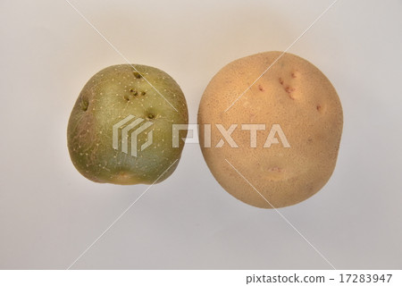 Greening potato background white 17283947