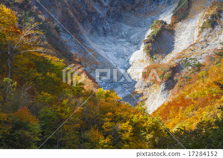 岩石牆壁的秋葉 岩石牆壁的秋葉 17284152