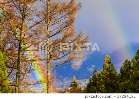 雙彩虹 雙彩虹 17284153