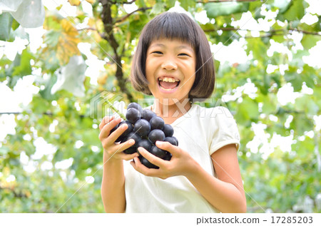 女孩享受葡萄狩獵 17285203