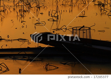 宮城縣黑裡原市伊豆沼的黎明 宮城縣黑裡原市伊豆沼的黎明 17285377