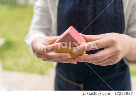 House and lady 17285987