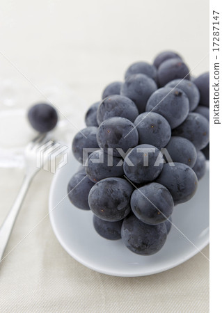 巨大的高峰 17287147