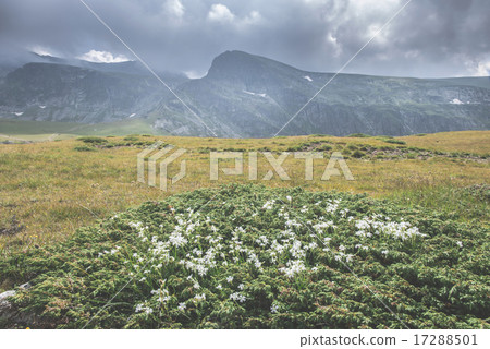High mountain landscape. Dramatic sky High mountain landscape. Dramatic sky 17288501