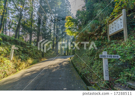 Kururugi城堡山道路在秋天 Kururugi城堡山道路在秋天 17288511