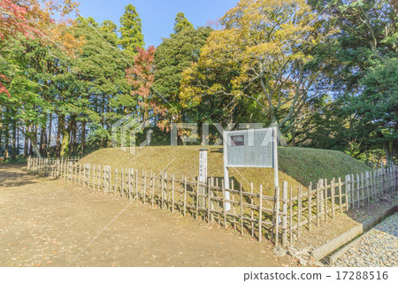 Kururi城堡Tensororite足跡在秋天 Kururi城堡Tensororite足跡在秋天 17288516