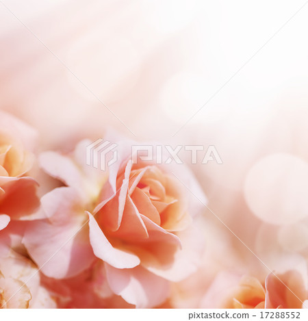 Defocus blur pastel floral background. 17288552