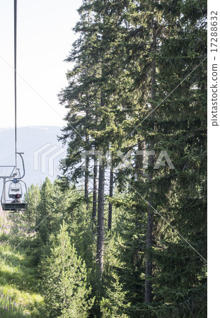 Lift in the mountain. Fir forest. Summer time 17288632