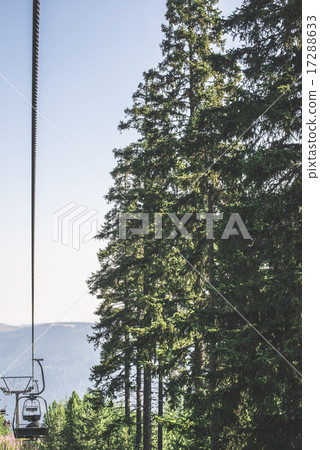 Lift in the mountain. Fir forest. Summer time 17288633