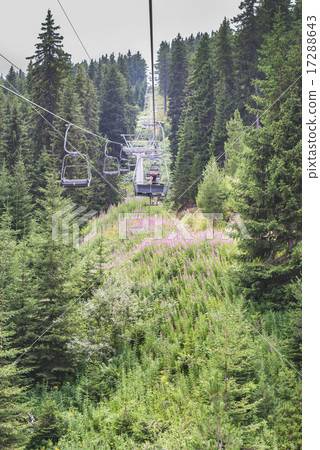 Lift in the mountain. Fir forest. Summer time 17288643