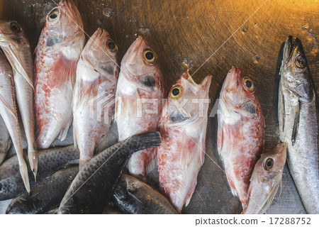 Fish on ice in the market Fish on ice in the market 17288752
