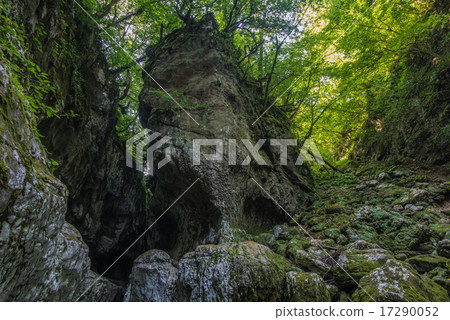 green gorge 17290052