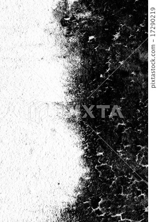Texture background black and white of fungus wall, Texture background black and white of fungus wall, 17290219