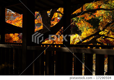 Autumn leaves of mainland temple 17290504