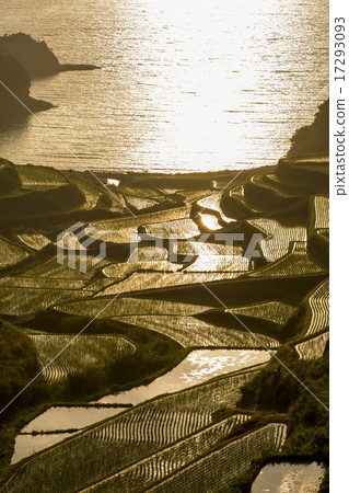 在Hamanoura的米大陽台在晚上 17293093