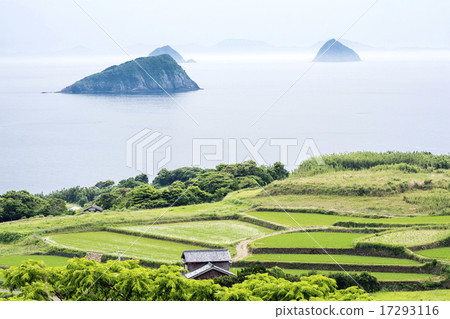 平戶島，大海和小島上的梯田 17293116