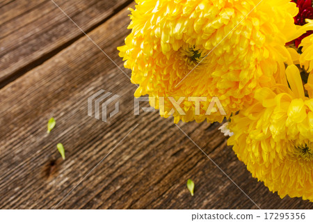 Bunch of mum flowers Bunch of mum flowers 17295356