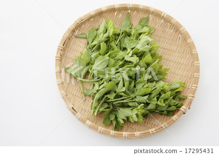 Wild vegetables Ukogi 17295431