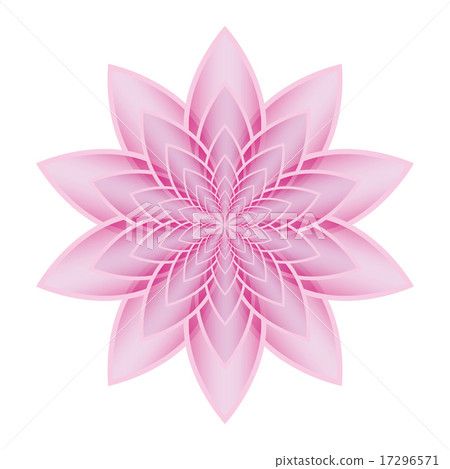 Lotus flower pink Lotus flower pink 17296571
