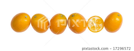 Six Oval Kumquats In A Row On White Background Six Oval Kumquats In A Row On White Background 17296572