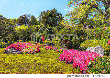 Seongnam-gu - Azalea 17297692